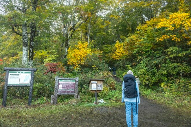 【登山】そこは、まるで天上の楽園！  “秋空を映す水鏡、黄金色の高層湿原になだらかに続く木道”  彩り鮮やかな原生林「苗場山」 長野県｜新潟県 2026年の画像002
