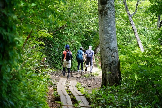 首都圏からのアクセス抜群！ 日帰り登山でもアルペン気分「谷川岳」 特徴的な双耳峰で人気の百名山の画像003