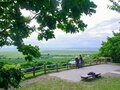 カヌーイスト憧れの地 釧路川源流域と湿原を漕ぐ＜釧路川 後編＞【ユーコンカワイの股旅リバログ vol.9】の画像007