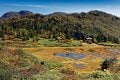 秘境！ 絶景！ ここだけは行きたい！【紅葉の山歩き ベスト3】信越 後編「信越トレイル・雨飾山・妙高山」の画像008