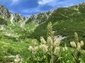 お出かけ前に「要チェック！」 中央アルプスエリアの「山小屋最新情報」の画像004