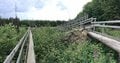 かつての軍事演習場が半世紀で”希少動物たちの住む森”に。五感と知を刺激するバリアフリートレイル「ドイツ・アイフェル国立公園」＜後編＞【キジ博士のナチュラリスト入門 vol.4】の画像007