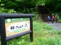 「緑の巨人」立山杉を訪ねて… 剱岳を見あげる中山を歩く＜富山県＞の画像002