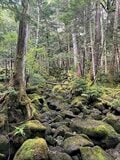 【この秋、絶対！ 八ヶ岳】第5回「天狗岳」 白駒池を通って空に突き出た双耳峰への画像002