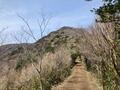 富士山の絶景＆箱根を一望！  最短ルートで目指す「金時山」春ハイキング「山頂レポ」の画像003