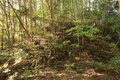 そそり立つ切岸が行く手を阻む。山陰の知られざる名城  石見国・周布城〈前編〉（島根県浜田市）【戦国の山城を攻める vol.01】の画像014