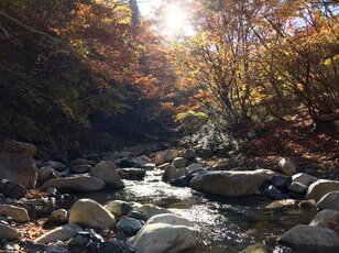 山中に広がる癒やしの空間「鈴鹿の上高地」での「頂上を目指さない登山」異次元の魅力！