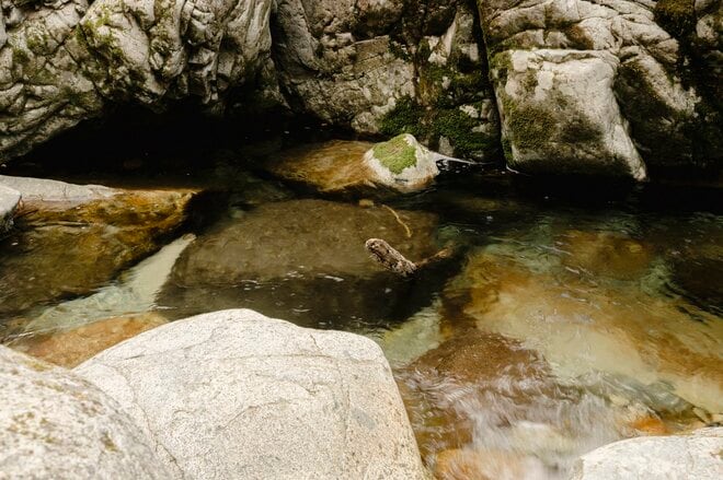 【渓流釣り】想像以上の減水でシビアな反応「重箱の隅をつつくように誘って、ようやく引っ張り出した奥飛騨のイワナ」  岐阜県｜2026年の画像003
