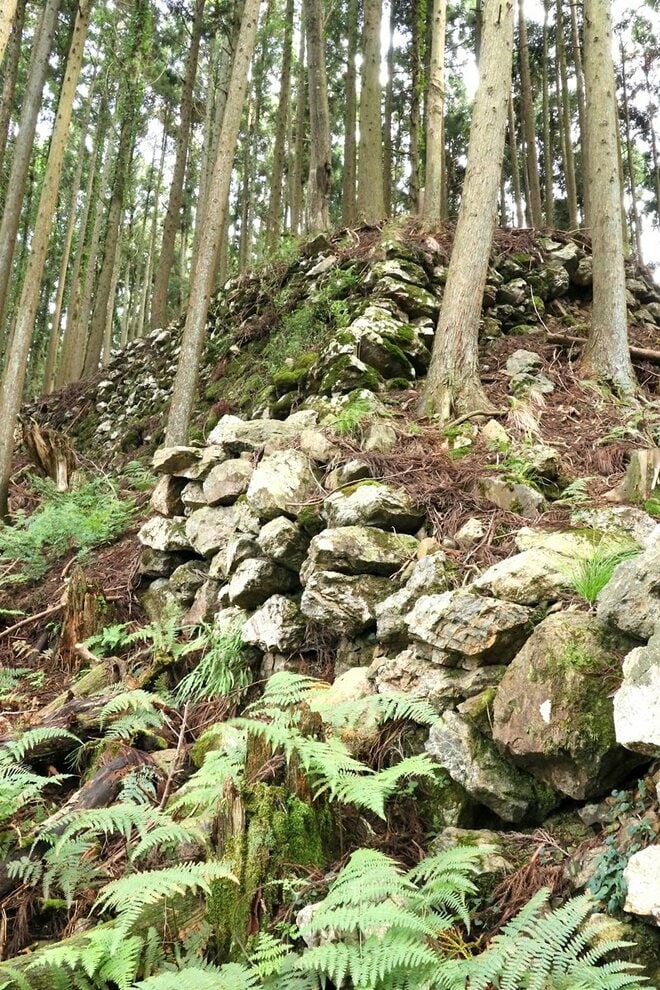 【NHK大河『豊臣兄弟！』ゆかりの城】そそり立つ “異質” なほどの高石垣が目前に迫る！「丹波国・周山城〈後編〉」（京都府京都市）【戦国の山城を攻める vol.10】の画像009