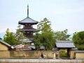 「すごい。フルコースじゃないか！」食いしん坊のイタリア人がイチバン感激した「なんてことない定食」とは！？【ブーツの国の街角で vol.23「年の瀬ニッポン再発見の旅！」】の画像003