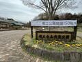 多摩にだけ自生する絶滅危惧種・幻の野生桜「タマノホシザクラ」が満開！ 都立公園にひっそりと咲く清楚な早咲き桜を見に行く【2023年・東京都】の画像001