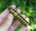 スマホより重要？  アウトドアでなにかと助かる「お役立ちキーホルダー」5選【低山小道具＆技術研究所 vol.34】の画像004