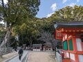 縁結びのパワースポット！  生田神社の「普通のおみくじ」と「水みくじ」Ｗ大吉なのにアドバイスは厳しめで仰天【関西おみくじジャーニー vol.26／兵庫県神戸市】の画像012