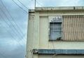 美しい沖縄の風景と琉球島猫「フォトセレクション」すべての島猫たちへの敬意と感謝を込めて【琉球島猫百景 vol.21「琉球弧の島猫たち」沖縄県】の画像008