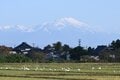 錦秋の山にコハクチョウが舞う特別なロケーション！  秋と冬の接点を楽しむ【山形県】2026年の画像007