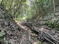 ＜残暑にオススメな“低山の早朝ハイキング”コースPart2＞“涼めるポイント”も豊富な「サクっとモーニングトレイル」私市（きさいち）編【里山アドベンチャー！ソトアソ日和 vol.6】の画像012