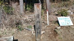 人気集中の「高尾山」の南東「草戸山」 春の静かなハイキング！  高尾駅から高尾山口駅まで「マイペース登山」レポ