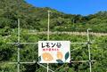 これぞ「しまなみ海道」の絶景！  島々をつなぐ「ダイナミック橋梁」ベストショットスポット3選！  全長60kmから厳選、ご当地スイーツもの画像001