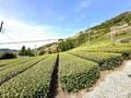静岡の名低山「栗ヶ岳」 山頂まで1時間「かっぽしテラス」から「世界農業遺産」風景の絶景！  ゆる～いカモシカにも遭遇「登山レポ」の画像001