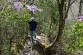 【首都圏近郊】まだ間に合うお花見登山「西丹沢・畦ヶ丸山」は桜だけじゃない欲張りプランを楽しめるんです！の画像013