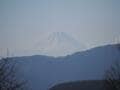 120万本「スズラン」＆希少な花々がお出迎え！  6月中旬「入笠山」 梅雨時期が美しい湿原ハイキング！  まさかの山頂は晴れ！「登山レポ」の画像011