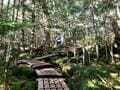 「八ヶ岳」黒百合ヒュッテから「天狗岳」へ、テント泊登山！  シーズン初めにちょうどいい&挑戦しやすい「現地レポ」の画像003