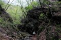 ＜4月末の御岳山レポート＞都心からすぐ。苔むした岩が美しい新緑のロックガーデン～宿坊ランチで異空間へ小トリップ！の画像003