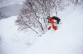 「かぐら、舞子」など首都圏から “アクセス抜群” の湯沢エリア、「斑尾、タングラム、シャルマン」など豪雪がもたらす “パウダーフリークの聖地” の信越エリア【ツリーランが滑れる全国スキー場ガイド vol.3  湯沢・信越 編】の画像006