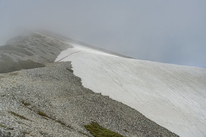 登山道整備完了！ 最新ルート状況「栂池高原〜白馬乗鞍岳〜白馬岳」＜北アルプス＞の画像010