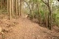 “あの”吉田郡山城にも勝るとも劣らぬ巨城！「安芸国・頭崎城〈前編〉」毛利家「中国覇権の形成」最前線を探る（広島県東広島市）【戦国の山城を攻める vol.07】の画像005