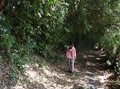 【和歌山県】海・山の風を感じ歴史に思いを馳せながら 注目の世界遺産「熊野古道」に触れる旅  e-BIKEで和歌山 熊野を巡るトレイル【グランドメルキュール和歌山みなべ のアクティビティ「結びビト」体験レポート】の画像015