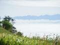 120万本「スズラン」＆希少な花々がお出迎え！  6月中旬「入笠山」 梅雨時期が美しい湿原ハイキング！  まさかの山頂は晴れ！「登山レポ」の画像001