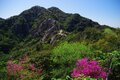 【4月は海を眺めに】山は低いが海は近い「須磨アルプス」 低山縦走の超定番コース【月めくりの低山カレンダー #04】の画像003