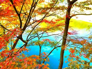 穴場の紅葉スポット！ 埼玉ドライブ「NO混雑＆NOストレス」でまわれる「飯能・日高」5選！ 「日本全国2周」旅ライター11月中旬「実走レポ」