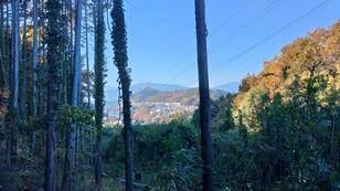 ショップの教え「登山のセオリー」は本当だった！  初心者の頃の「無残な山行」体験での「3つの失敗談」告白レポ