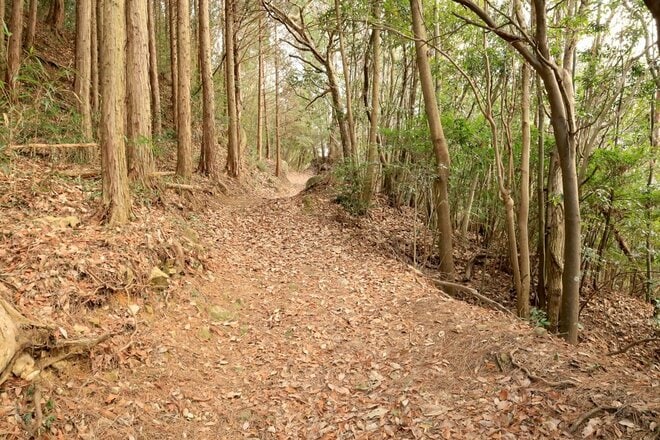 “あの”吉田郡山城にも勝るとも劣らぬ巨城！「安芸国・頭崎城〈前編〉」毛利家「中国覇権の形成」最前線を探る（広島県東広島市）【戦国の山城を攻める vol.07】の画像005
