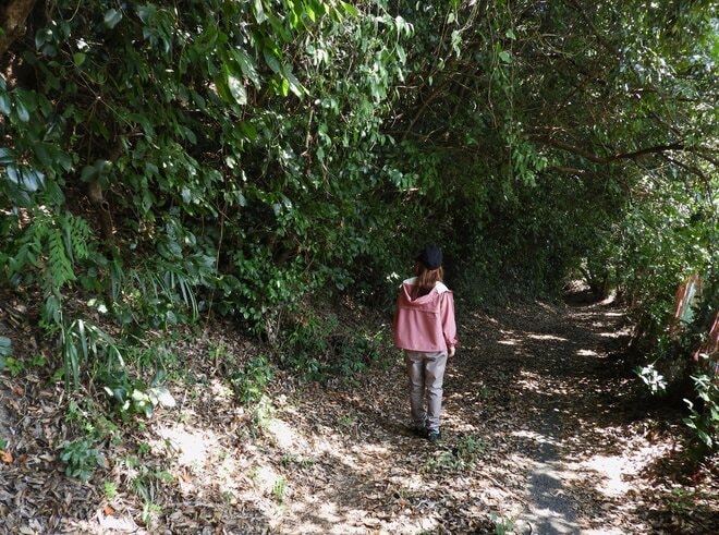 【和歌山県】海・山の風を感じ歴史に思いを馳せながら 注目の世界遺産「熊野古道」に触れる旅  e-BIKEで和歌山 熊野を巡るトレイル【グランドメルキュール和歌山みなべ のアクティビティ「結びビト」体験レポート】の画像015