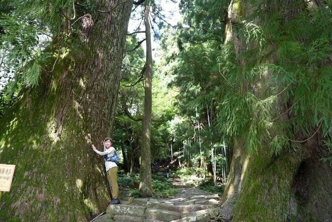 【世界遺産・熊野古道】初めての「熊野古道」歩きにおすすめ！  1000年前の石畳の巡礼路から熊野那智大社、那智の滝までを3時間で満喫する「大門坂ルート」の画像003