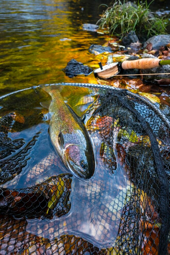 【釣り】完全予約制！ 広い渓流釣り場で真剣勝負！ 流れに見え隠れする魚影にドキドキ、ワクワクのフライフィッシング 「秩父フライフィールド」 埼玉県｜2025年の画像003