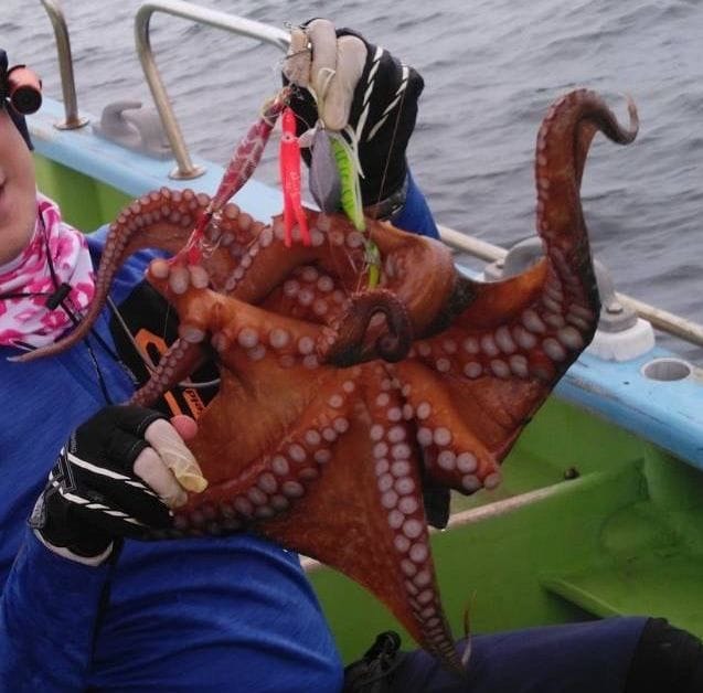 画像 写真 オフショア釣り 東京湾 夏の新風物詩 船タコ釣り 解禁初日の釣行で秘密兵器 タコ釣りボール も実戦投入の成果や如何に 合計12枚 アクティビティ レポート Bravo Mountain