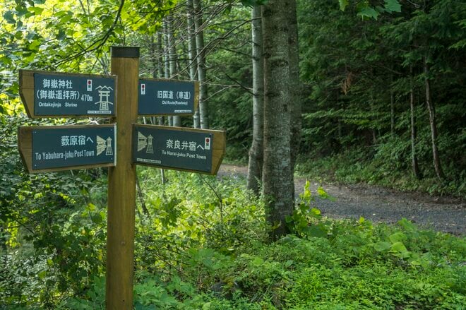 【自転車】峠を越えて！  “心地よい登りと気持ち良すぎる下り”  大分水嶺の極上グラベルロードを駆ける「中山道、鳥居峠」 長野県｜2026年の画像005