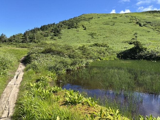 たおやかで爽快な草原風景が待つ、日本百名山「巻機山」へ！  長い登りの先で豪雪地ならではの「池塘」と「高山植物」に癒される「登山レポ」の画像004