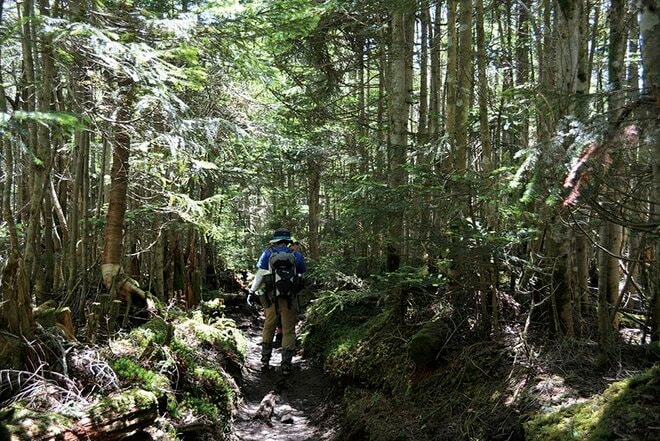 【この秋、絶対！ 八ヶ岳】第6回「白駒池」 北八ヶ岳らしい苔むした森を歩くの画像001