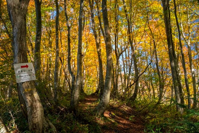【登山】紅葉の当たり年！ 「白池に映る秋の彩りと山々の絶景を楽しむ、戸倉山の古道歩き」 “塩の道”   新潟県・2025年の画像006