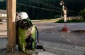 SNSで大バズ！「宙に浮ける川」へ出かけよう＜板取川 前編＞【ユーコンカワイの股旅リバログ vol.4】の画像005