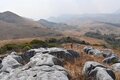金色の草原に広がる「ひつじ」とは？「日本三大カルスト」福岡県・平尾台の魅力の画像003