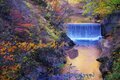 【まだ間に合う！晩秋の山歩き】紅葉終盤は落ち葉歩きで決まり「 駐車場から1時間以内の絶景」晩秋ハイク・東西2選【今日も山旅気分 vol.26】の画像002