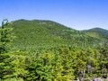 神秘的なコケと原生林がお出迎え！「往復5時間」北八ヶ岳の茶臼山・縞枯山ハイキングで楽しむ「緑の絶景」の画像003