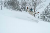 「これからが楽しい！」非圧雪すぎるスキー場と山上のレストランの絶品グルメ【シャルマン火打スキー場】 新潟県糸魚川市 2025年