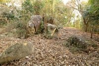 石の城と思いきや土の城だった！「安芸国・頭崎城〈後編〉」　最後に待ちうけていた驚異の “巨壁” に本気を見る（広島県東広島市）【戦国の山城を攻める vol.08】